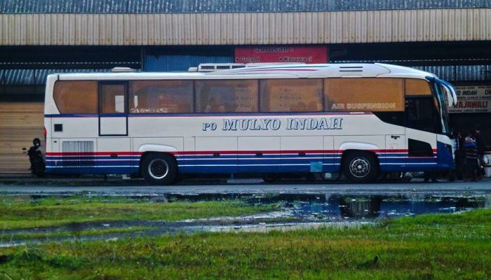 Harga Tiket Bus Mulyo Indah, Hemat dan Nyaman Ke Mana Aja