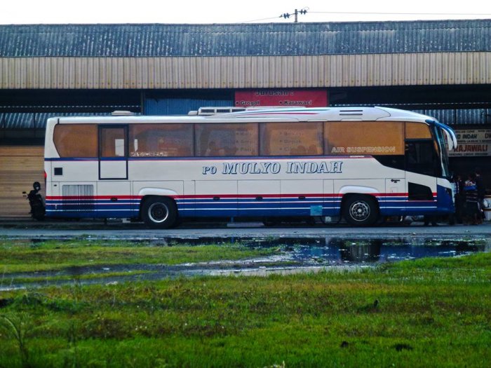 Harga tiket bus mulyo indah