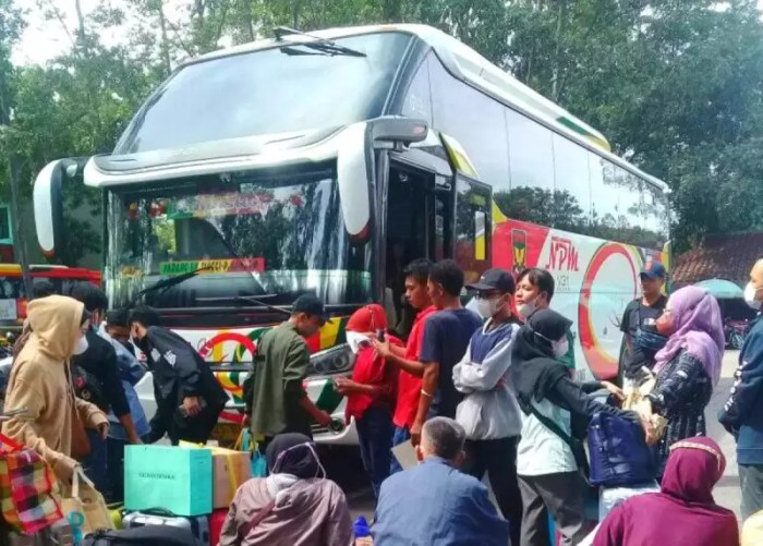 Harga tiket bus npm padang medan