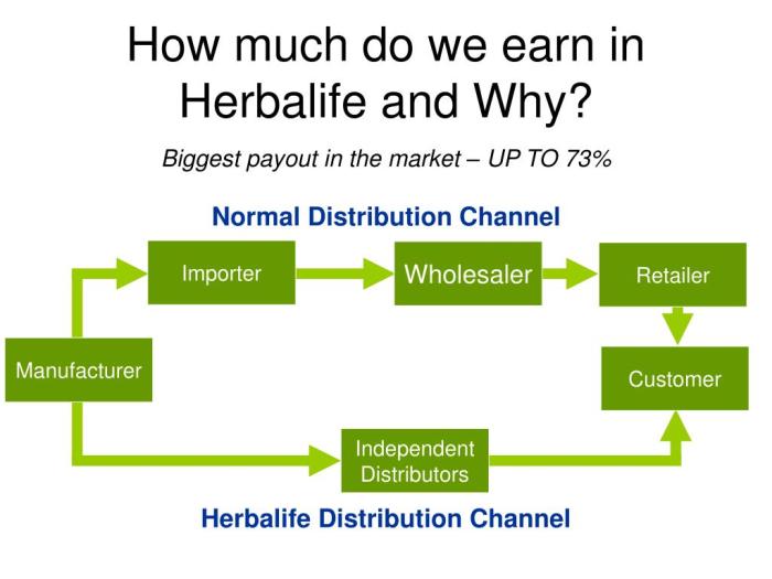 Business herbalife plan sample ogscapital update