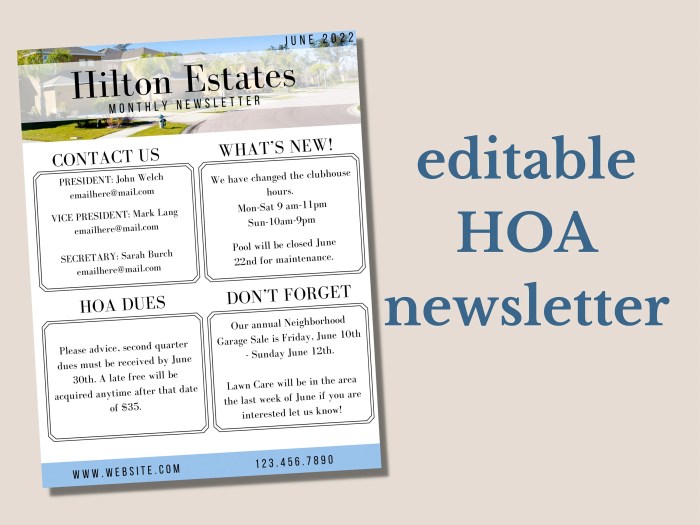 Newsletter association templates template homeowners hoa word neighborhood stocklayouts monthly marketing layout format sample publisher designed pre make microsoft example