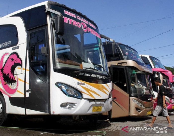 Artis medan pekanbaru