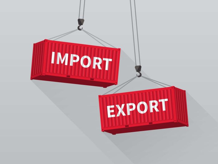 Importing infographic international process importers import australia goods customs clearance wallace time au forwarder click