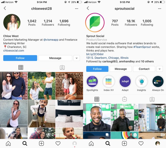 Instagram category