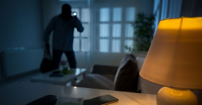 Intruder safewise