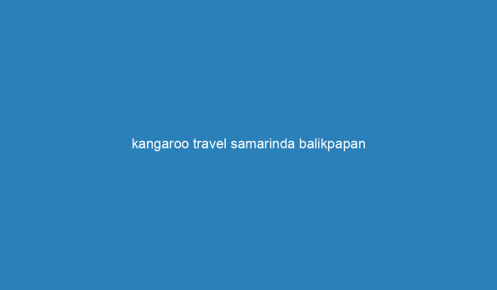 Harga tiket kangaroo travel samarinda