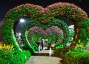 Harga Tiket Masuk The Blooms Garden Bedugul, Nikmati Surga Bunga