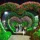 Blooms bedugul