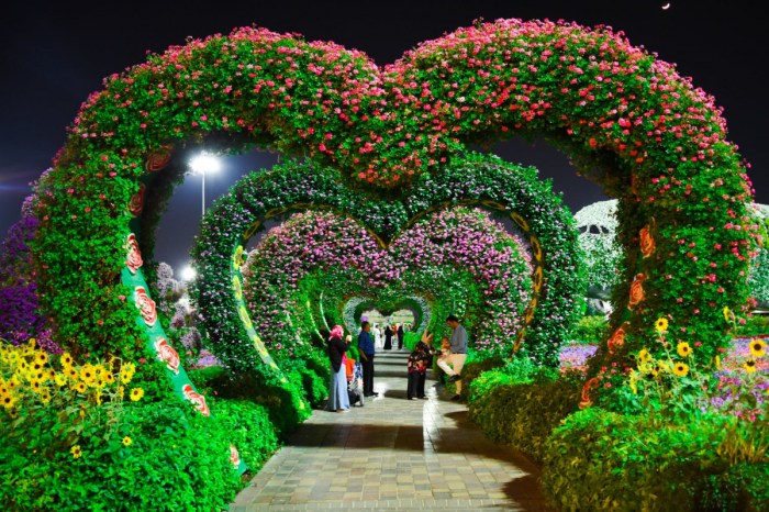 Blooms bedugul