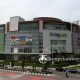 Pekanbaru brun sini beberapa lain hadir ada