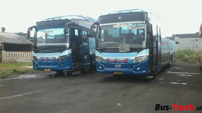 Harga tiket bus malino putra 2019