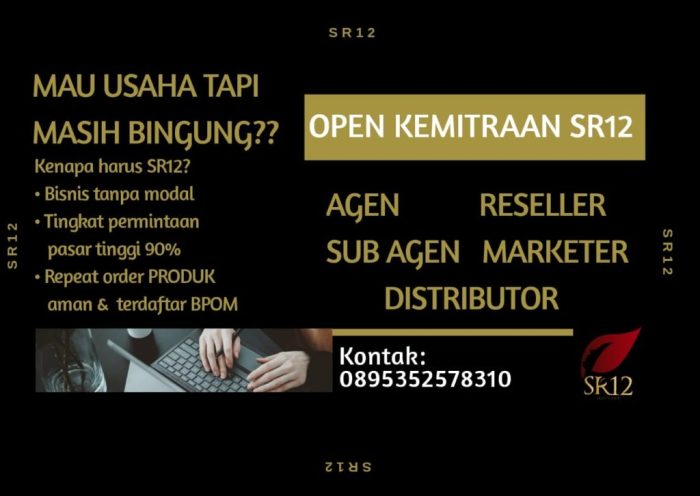 Sr12 mitra peluang bisnis