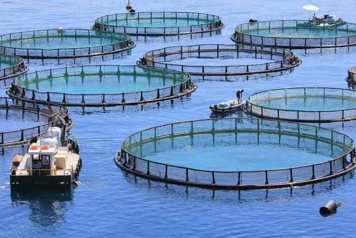 Consumption bengal lakshadweep