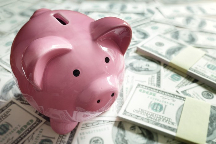 Money piggy stapel spaarvarken stack coin muntstuk mannelijke