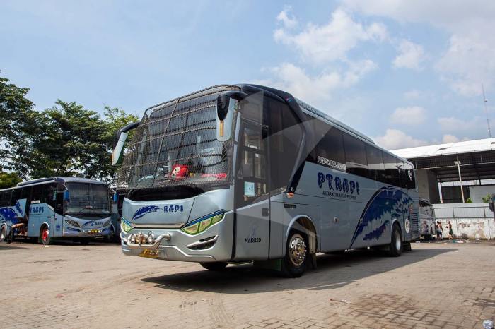 Harga tiket bus rapi jambi pekanbaru