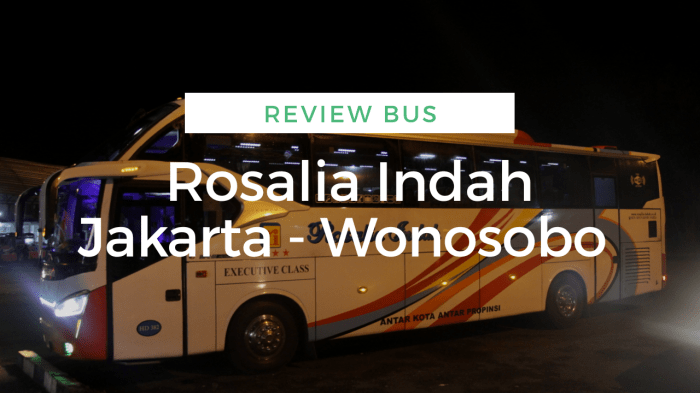 Rosalia scania sdd jetbus noer achmad cholis tiket keposiasi rute jadwal berangkat