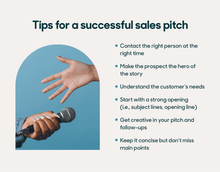 Pitch investors