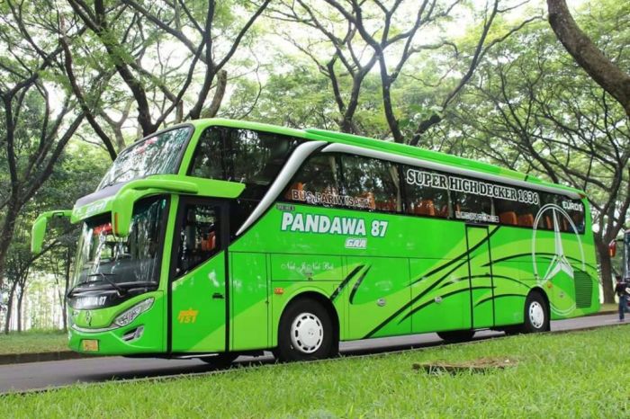 Pandawa bus 87 nak beh jetbus pict uhd bmc yoga decker
