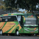 Ceria sejarah perusahaan otobus bus harga sumber tiket