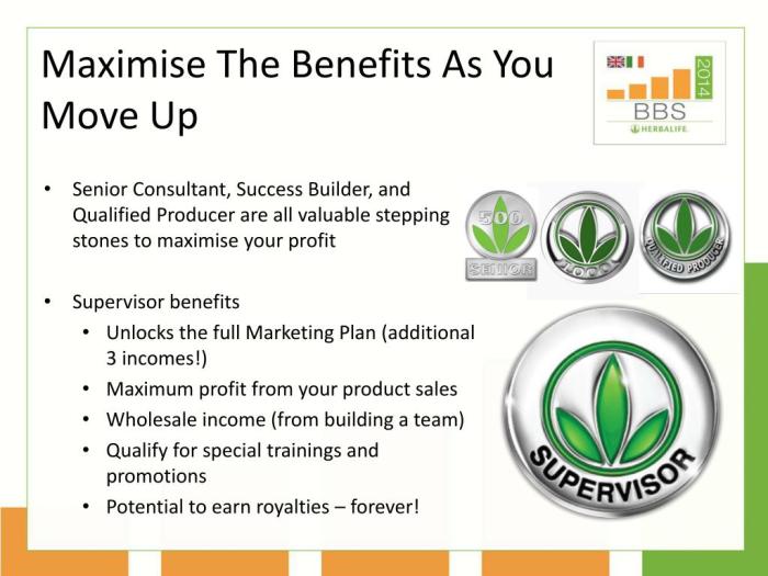 Cara kerja bisnis herbalife