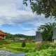 Blooms bedugul