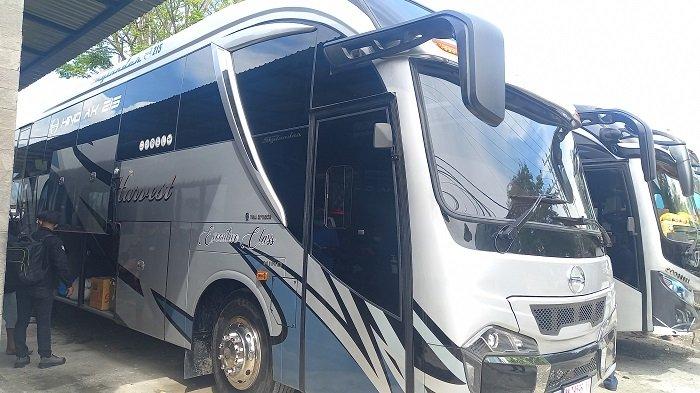 Harga tiket bus makassar palu