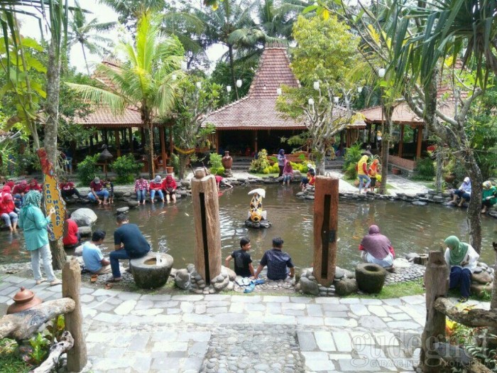 Kampung flory jogja ikan kolam