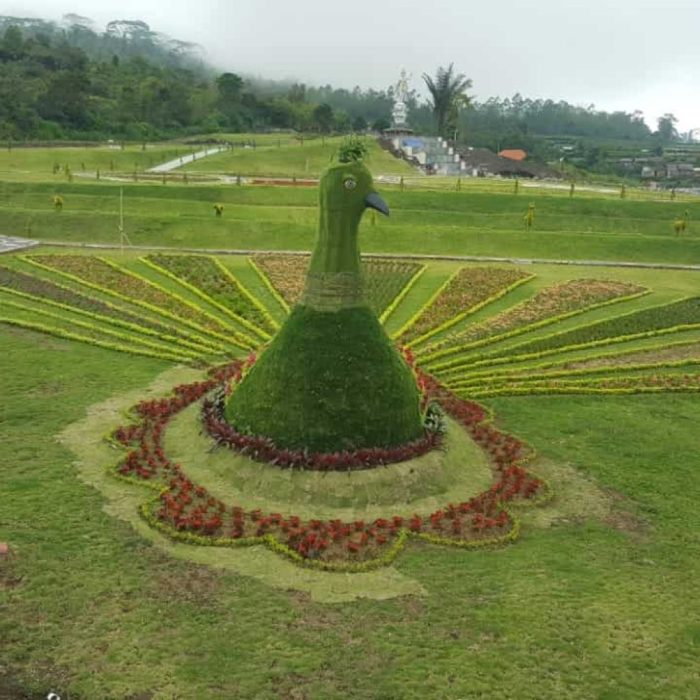 Blooms wajib objek wisata kunjungi kamu