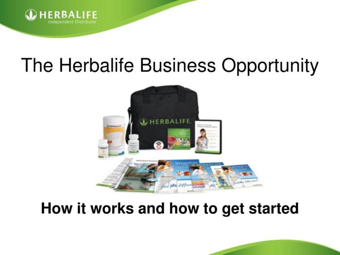 Cara kerja bisnis herbalife