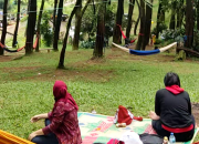Harga Tiket Masuk Ujung Aspal Purwakarta, Panduan Lengkap