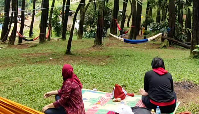Harga Tiket Masuk Ujung Aspal Purwakarta, Panduan Lengkap