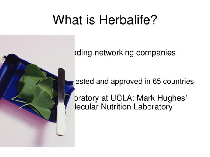 Herbalife