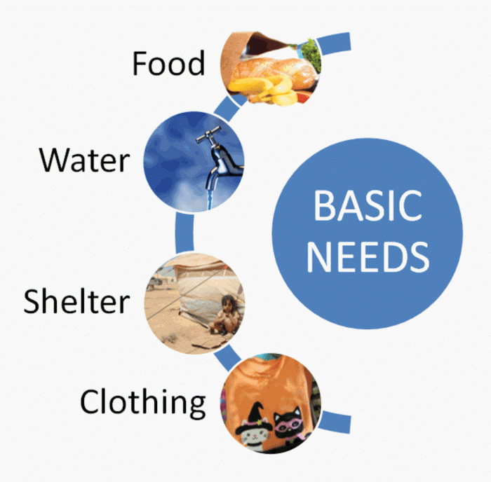 Needs shelter necessity blurred poverty