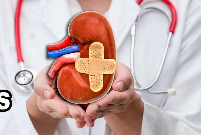 Kidney patients