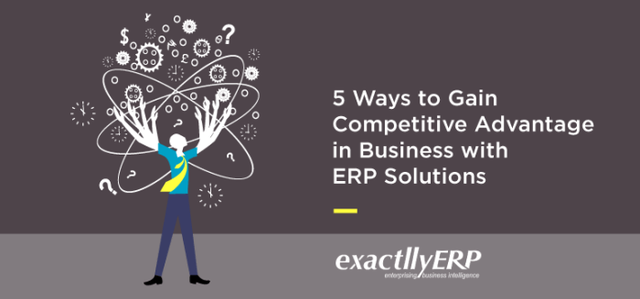 Erp advantage solutions competitive gain business ways exactlly