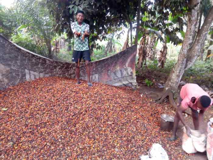 Cara menjual uang 1000 kelapa sawit di bank