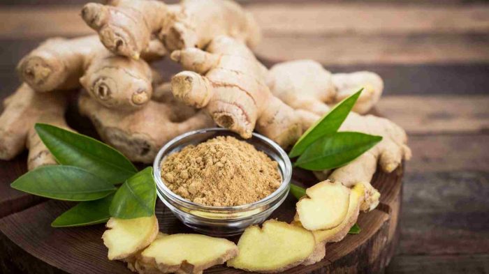 Ginger red store