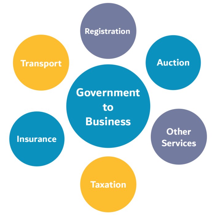 Government business g2b