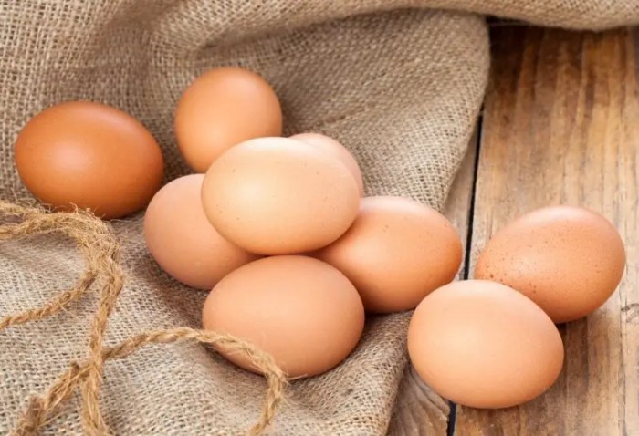 Cara jual telur ayam