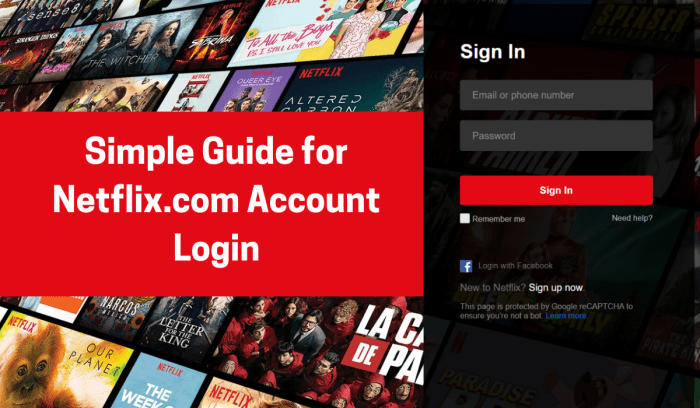 Cara jualan akun netflix