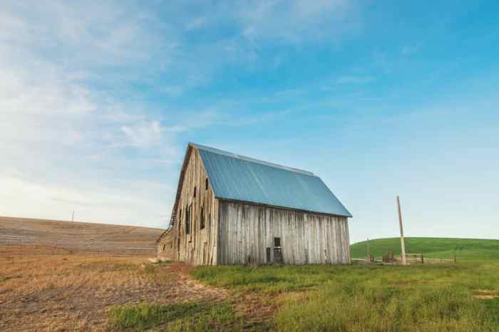 Land tax pay
