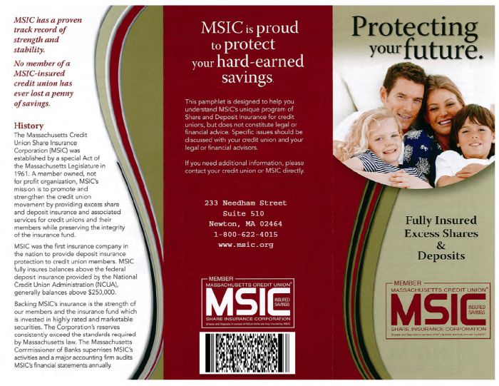Repair credit brochure winning house