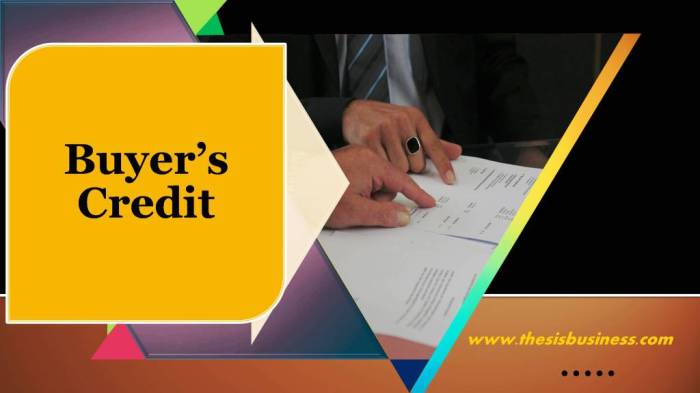 Seller definitive financing credit guide