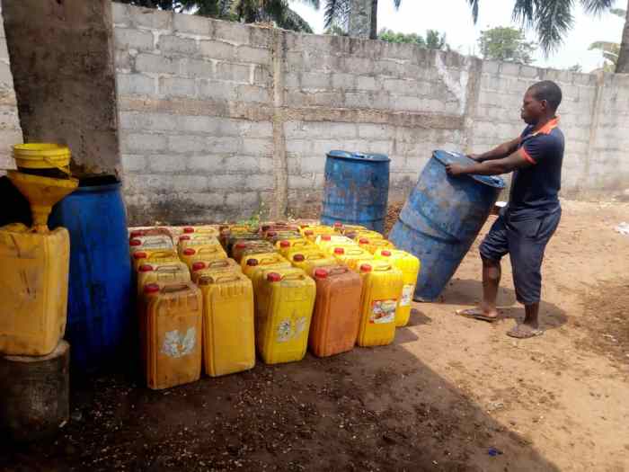 Cara menjual uang koin seribu kelapa sawit