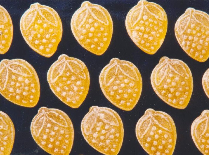 Cara membuat manisan mangga untuk dijual
