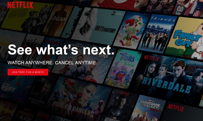 Cara jualan akun netflix
