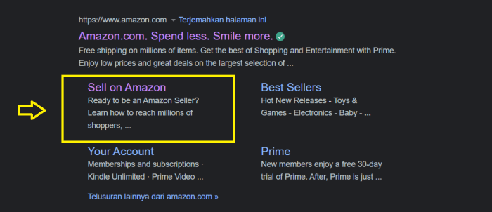 Cara berjualan di amazon dari indonesia