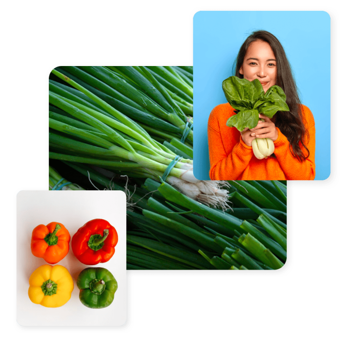Cara jualan sayur online