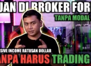 Cara Cuan di Forex, Rahasia Sukses Trading dengan Strategi Mudah dan Profit Konsisten untuk Pemula