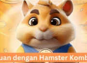 Cara Main Hamster Kombat, Rahasia Sukses Bermain dan Menangkan Pertarungan dengan Strategi Terbaik!